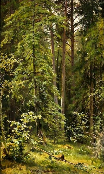 Una Foresta da Ivan Ivanovich Shishkin